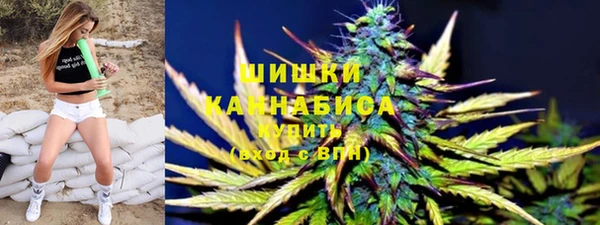 прущие грибы Армянск