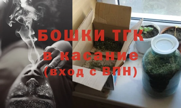 прущие грибы Армянск